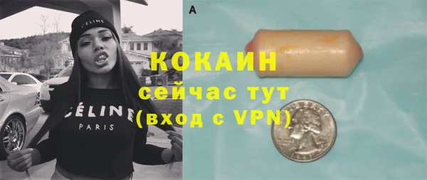 PSILOCYBIN Архангельск